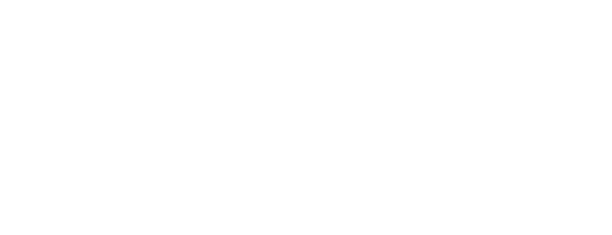 Logo Blanc Bernard Crouzet